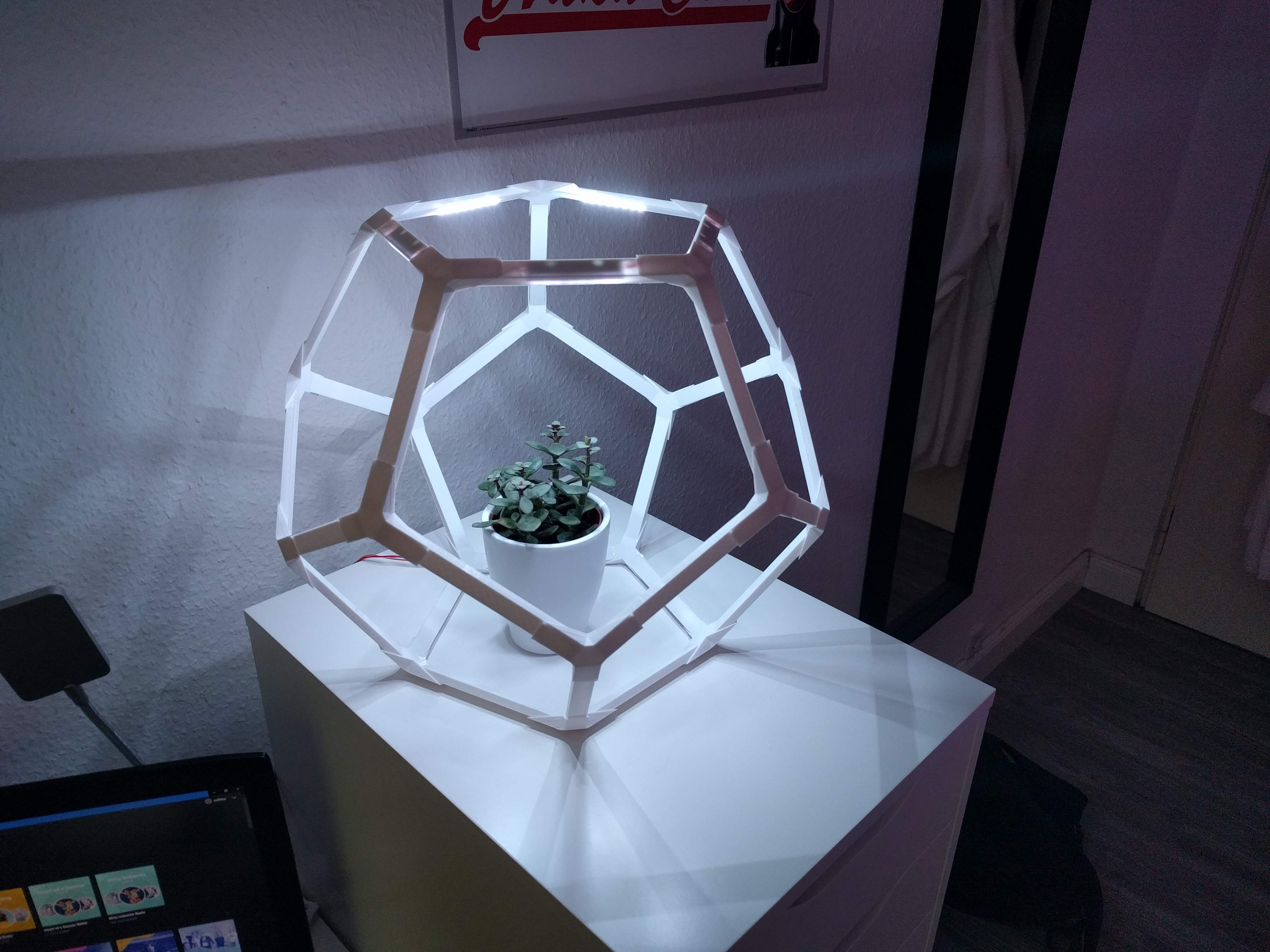 Plant lamp picture of lamp